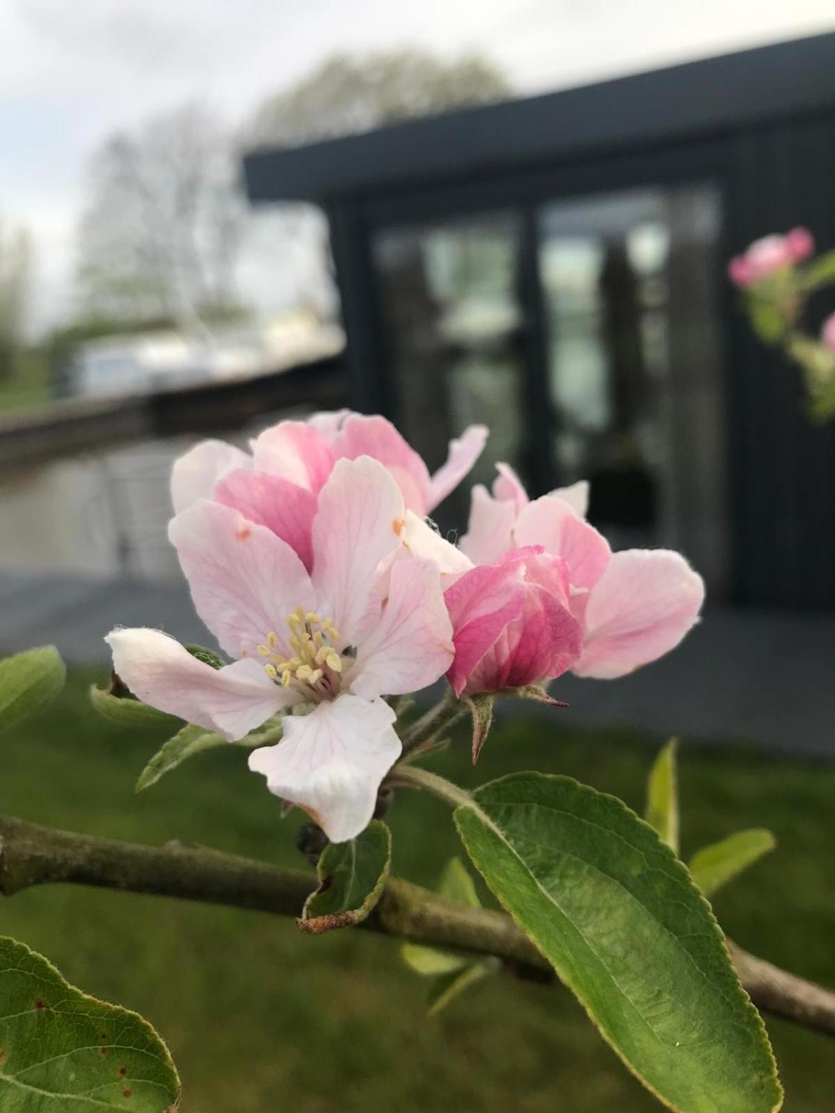 Uniek Overnachten In Een Tiny House Op De Appelhof Wommels Exteriér fotografie