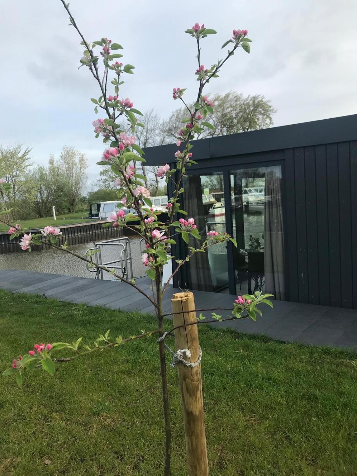 Uniek Overnachten In Een Tiny House Op De Appelhof Wommels Exteriér fotografie