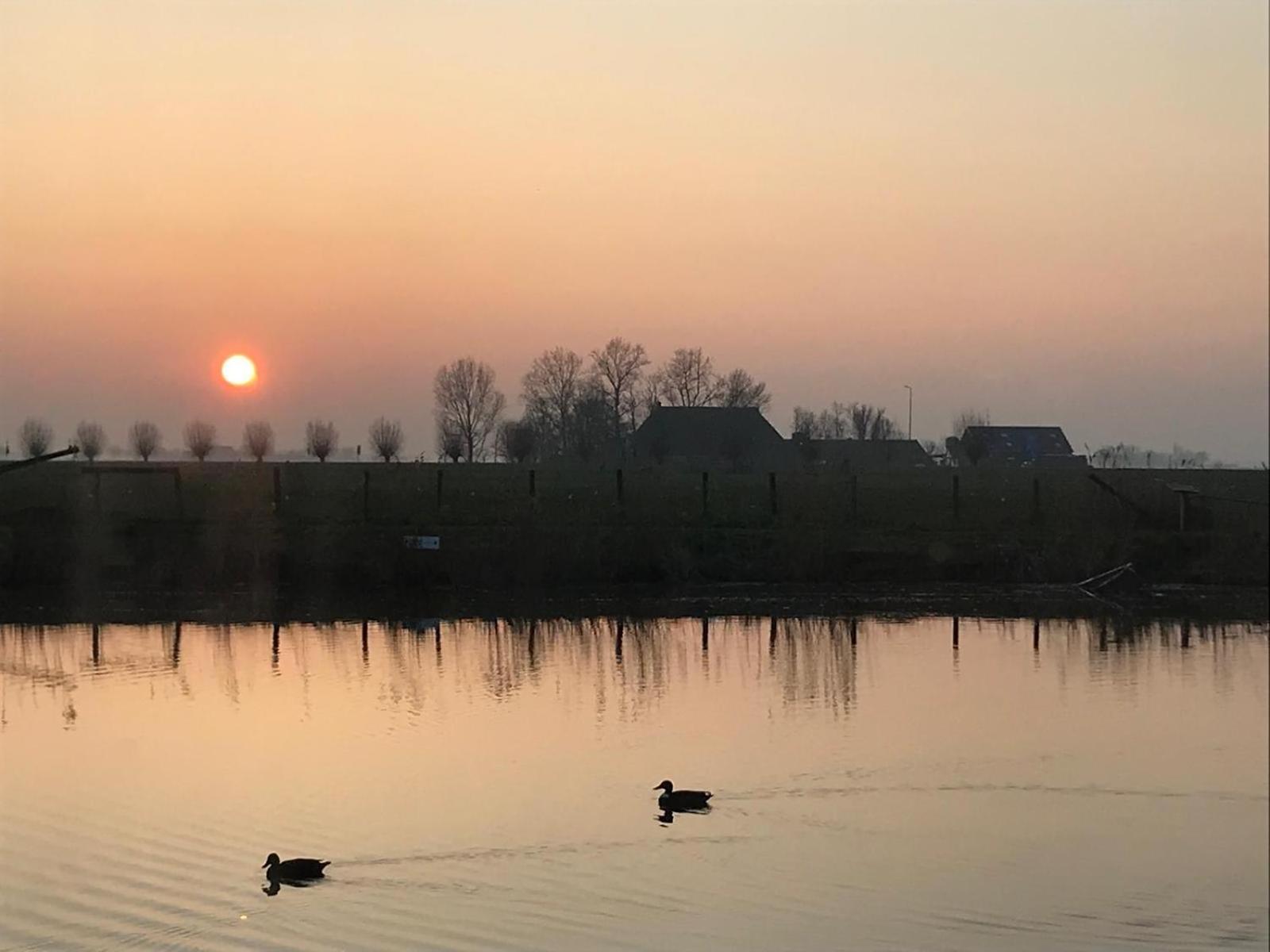 Uniek Overnachten In Een Tiny House Op De Appelhof Wommels Exteriér fotografie